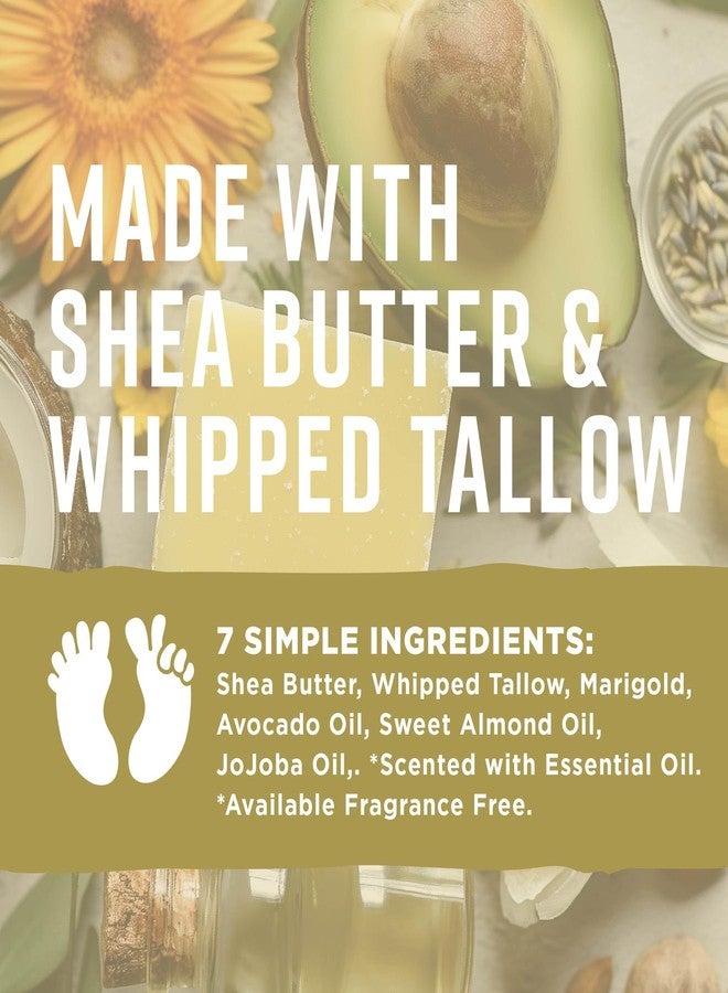 Pilotfish Sun & Done Whipped Beef Tallow for Skin - After Sun Care with 7 Simple Ingredients Including Shea Butter & Coconut | Sun Burn Cream, After Tanning Lotion, After Sun Lotion, Gel, Moisturizer - Image 5